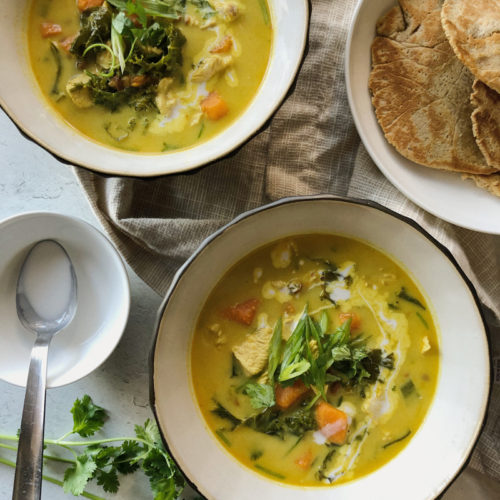 Deliciously low FODMAP coconut curry chicken soup!